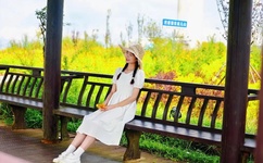 徐湘婷全套下载